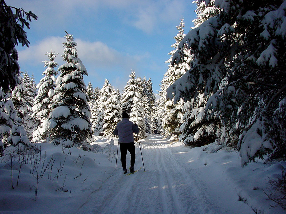 Schneeschuhwandern Anfnger