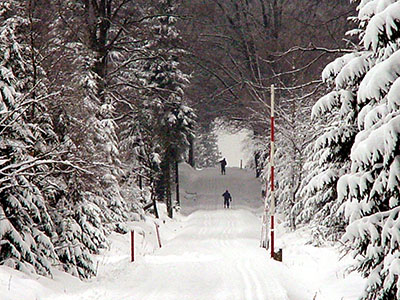Schneeschuhtouren im Schwarzwald