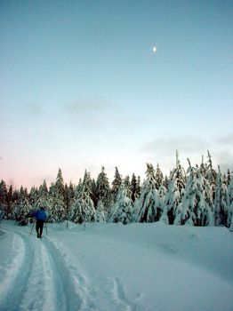 Planung einer Skitour